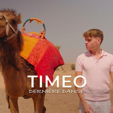 Derniere Danse Cover